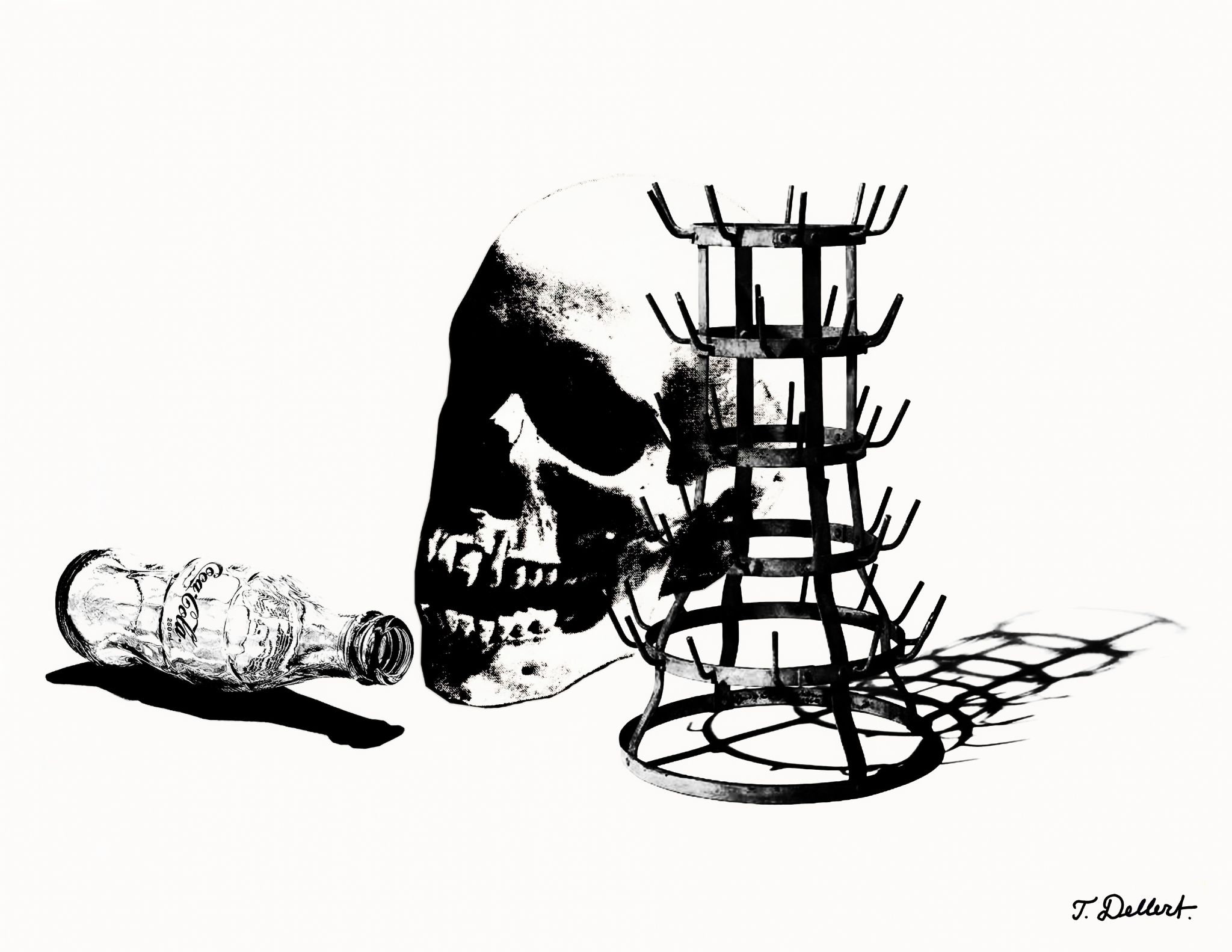 Natura Morte
